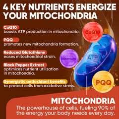 LILICARE CoQ10 with PQQ and black pepper extract supporting mitochondrial energy