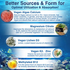 LILICARE plant-based D3 K2 zinc bundle in a vegan formula.