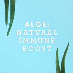Chilled glass of Lily Of The Desert Aloe Vera Juice ready to sip.