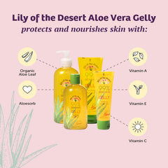 Lily Of The Desert Gelly Moisturizer jar ready for cooling relief after sun exposure