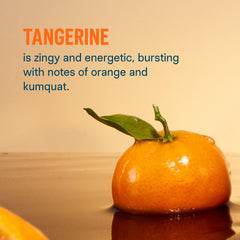 Liquid I.V. Tangerine powder dissolving in water with a refreshing citrus aroma.