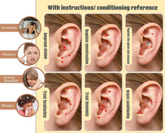 Litelogy ear acupoints chart bilingual guide for easy use.