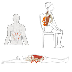 LittleMum tool targets the levator scapulae for knot relief