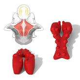 LittleMum trapezius massager dual-wing design targets knots for deeper relief