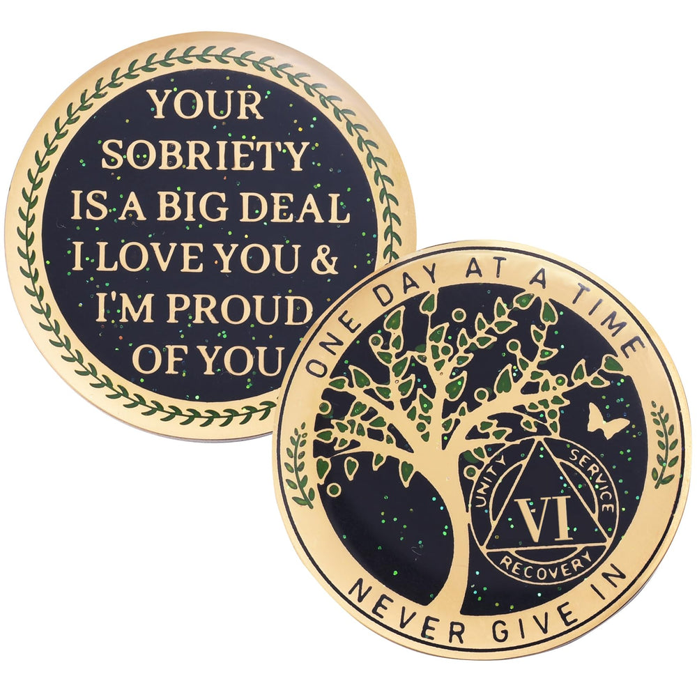 LParkin Moneda de Sobriedidad 6 Años con Árbol de Vida en el frente para motivación diaria