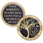 LParkin Moneda de Sobriedidad 6 Años con Árbol de Vida en el frente para motivación diaria