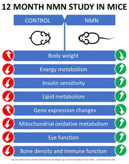 MAAC10 NMN 99-percent purity emphasizes potent NAD+ precursor.
