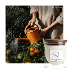Maison Sicilian Tomato Leaf Candle jar showcases a clear glass container for kitchen ambience