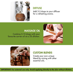 Majestic Pure rosemary oil for hair care routines.
