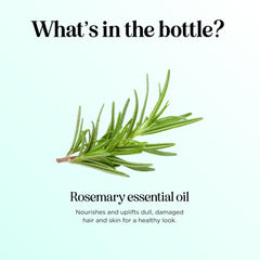 Maple Holistics rosemary oil hair care application for adding natural shine