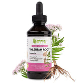 Maxx Herb Valerian Root Extract bottle shows potent liquid for calm evenings