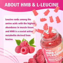 MEENCCD HMB and L-Leucine Gummies ingredients label emphasizing premium nutrients