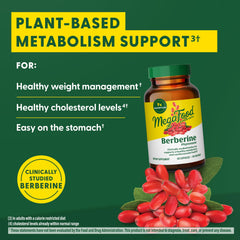 Ingredients panel on MegaFood Berberine Phytosome showing absorption-focused formulation