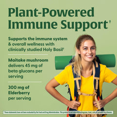 Maitake, Elderberry and Holy Basil ingredients highlighted for plant-based immune support
