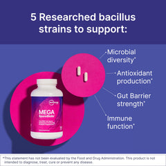 MegaSporeBiotic capsules illustrate spore-based probiotic for digestive health.