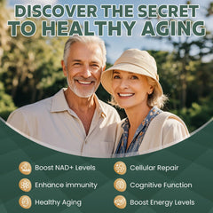 MEGNETA bottle with capsules emphasizes vegan, non-GMO formulation