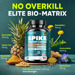MEGNETA bromelain capsules—plant-based capsules for everyday vitality.