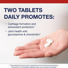 Metagenics ChondroCare label details featuring glucosamine, chondroitin, and MSM.