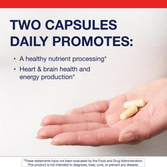 MethylCare label highlights L-5-MTHF and B vitamins for methylation support