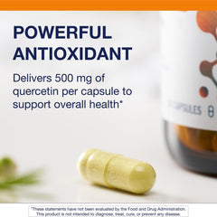 Ingredient graphic for Metagenics Quercetin showing composition and antioxidants