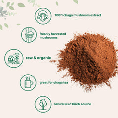 Chaga tea mug setup highlights warm, flavorful beverage option