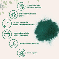 Micro Ingredients chlorella powder blended into a vibrant smoothie bowl