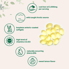 Micro Ingredients omega-3 EPA and DHA softgels for heart and brain support