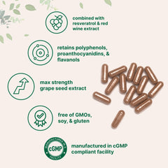Micro Ingredients Grape Seed Extract bottle held in hand for convenient use.