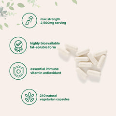 Micro Ingredients liposomal delivery bubbles illustration highlights enhanced nutrient uptake.