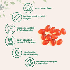 Micro Ingredients Mega Omega-3 enteric-coated softgels protecting ingredients during digestion