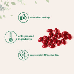 Micro Ingredients omega-6 rich illustration supporting balanced daily nutrition