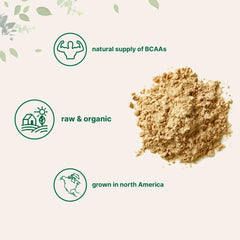 Micro Ingredients pea protein powder with label showing non-GMO and gluten-free attributes.