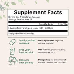 Micro Ingredients Pure L-Lysine capsules closeup highlights clean veggie format for digestion.
