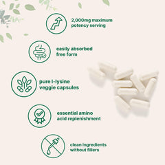 Micro Ingredients Pure L-Lysine ingredients panel confirms filler-free, non-GMO composition.