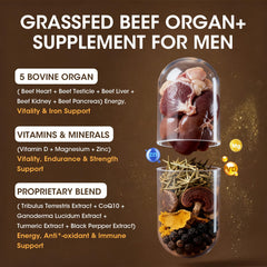 Close-up of Minch beef liver capsules emphasizing immune support and energy