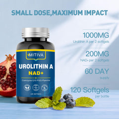 MITIVA Urolithin A in daily routine scene for active living