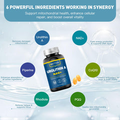 MITIVA Urolithin A softgels closeup showing vegan formula