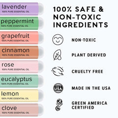 MOXE guide and log for consistent smell therapy practice.