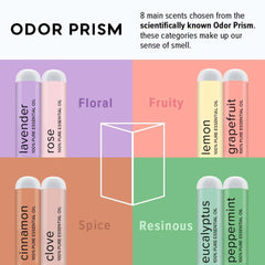 MOXE Phase 2 inhalers for scent diversification and recognition training.