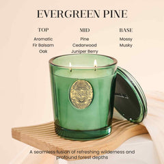 M&SENSE ambient-scent-diffusion highlights premium oils for a steady, clean aroma.