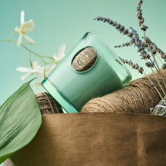 MSENSE candle in a reusable glass vessel showcases chic decor.