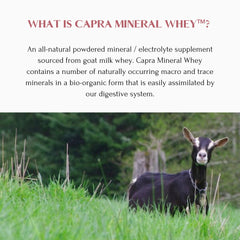 Mt Capra Mineral Whey in shaker bottle ready for smoothie mix.