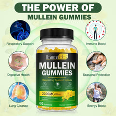 MXCZBSM mullein gummies daily-dose concept supporting a simple wellness routine.