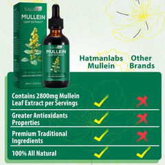 MXCZBSM Mullein Leaf Extract label highlighting natural lung support