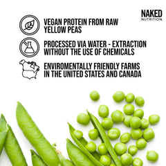 Scoop of NAKED Pea ingredients showing clean, plant-based protein