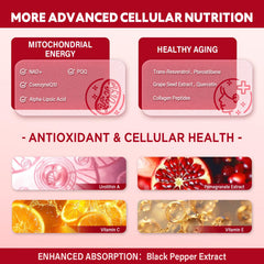NATISLAND pomegranate extract visual emphasizing polyphenols