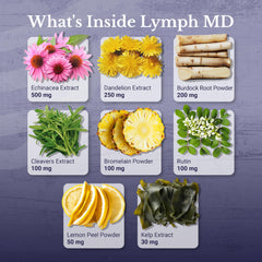 Nation Health MD Lymph MD bottle on a kitchen counter ready for daily use.