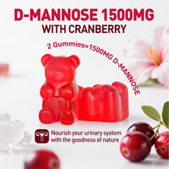 NATISLAND D Mannose gummies with hibiscus hint highlighting plant-based ingredients