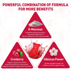 Two gummies per day visual with NATISLAND branding for a simple wellness routine