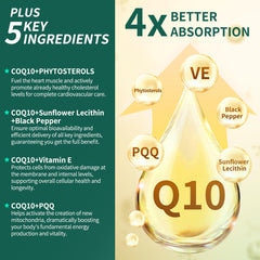 Natprime CoQ10 softgels back label detailing ingredients and allergy info